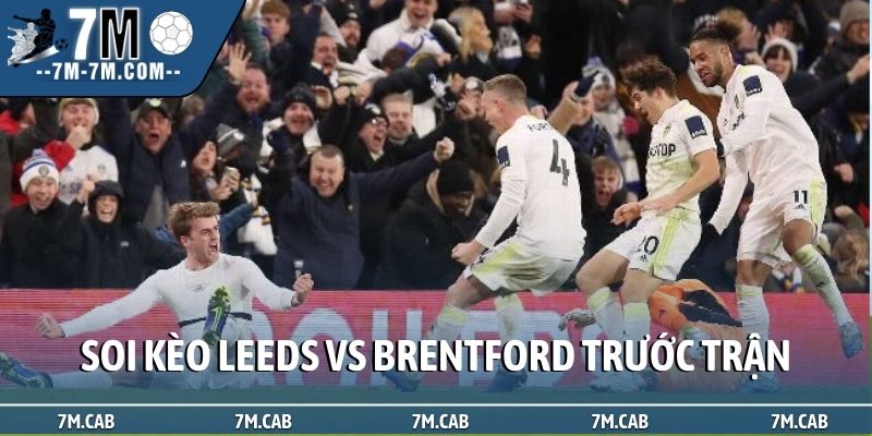 Soi kèo Leeds vs Brentford - Tổng quan trước trận